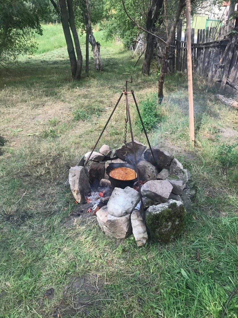 Camere de închiriat Wellion