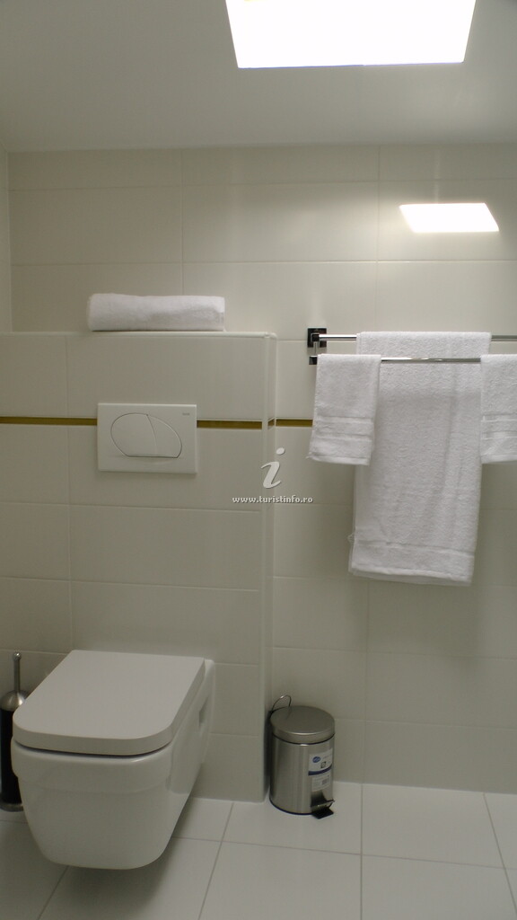 Cabana Medeea