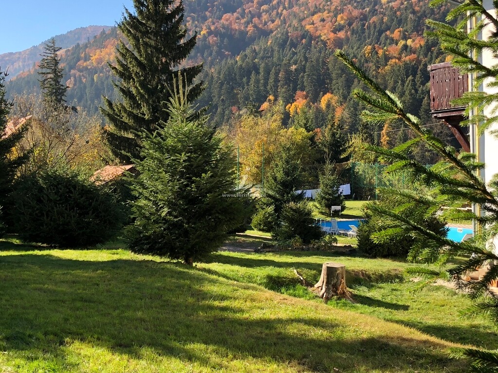 Stânca Șoimilor