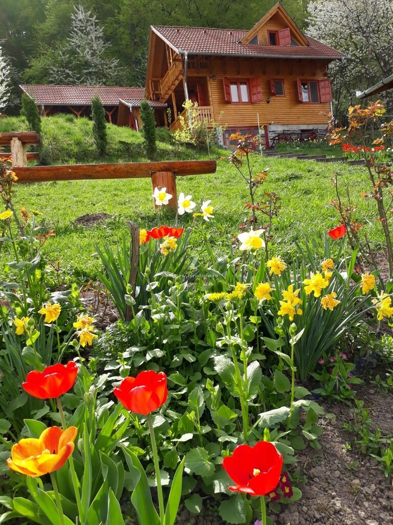 Vila Casa Teodora