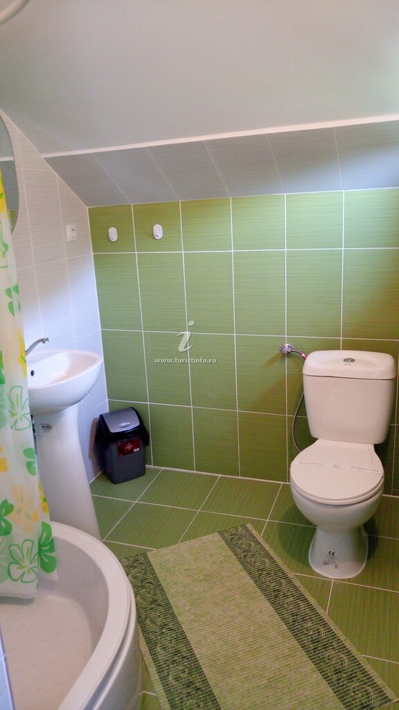 Casa de vacanță Doi Brazi