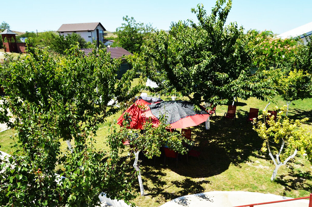 Camere de închiriat Casa Zelezneac
