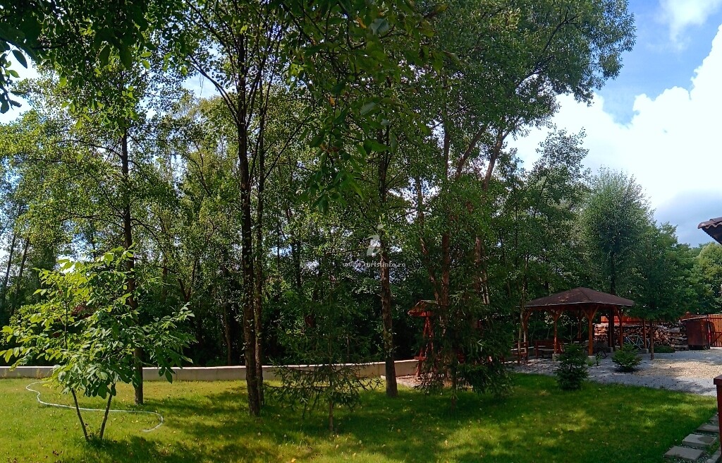 Casa Wolf