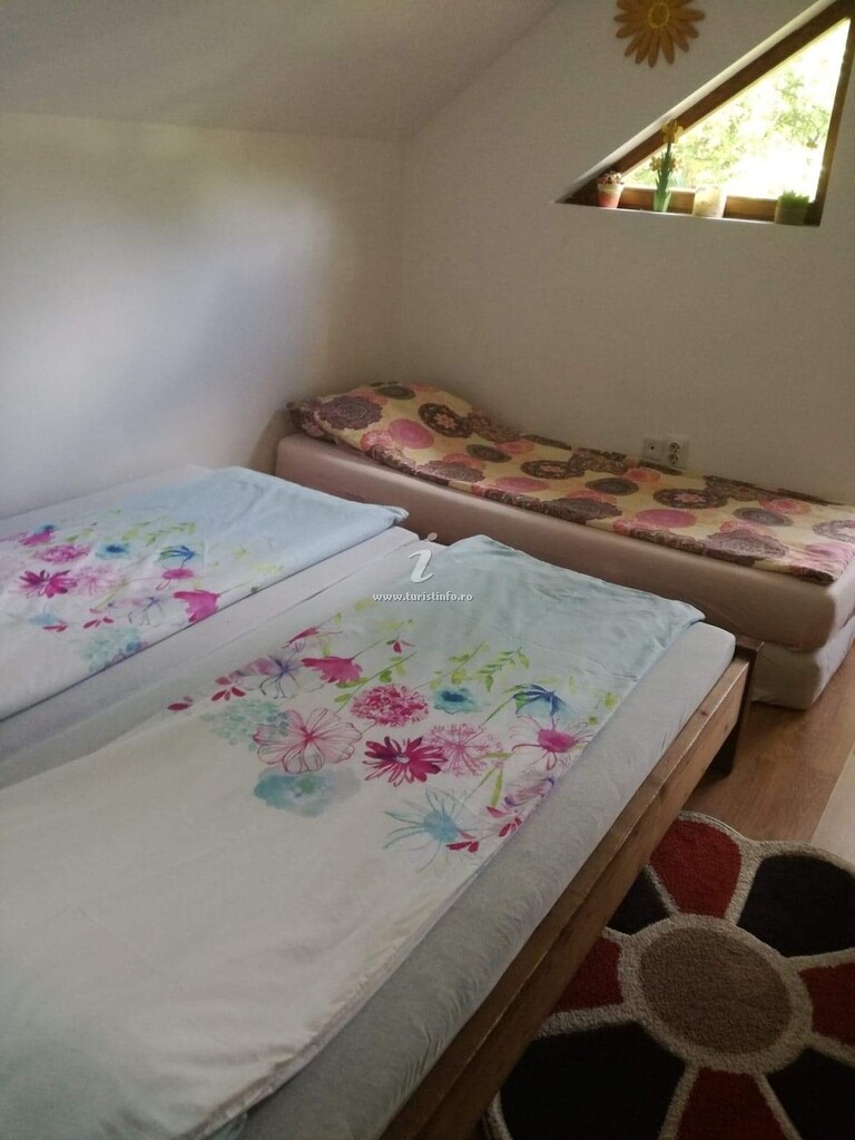 Casa de vacanță Timea
