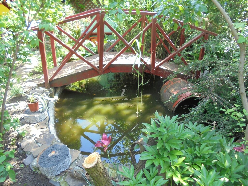 Cabana Forest Camp Transylvania