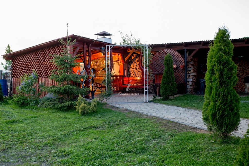 Casa Neagu
