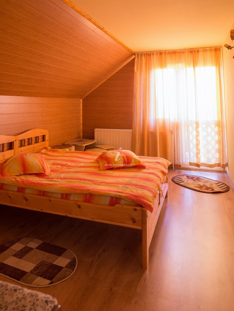 Casa Neagu