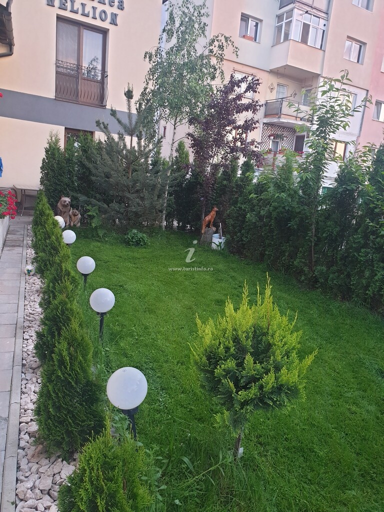 Camere de închiriat Wellion