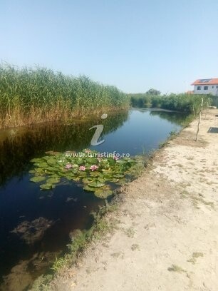 Apartament Elena