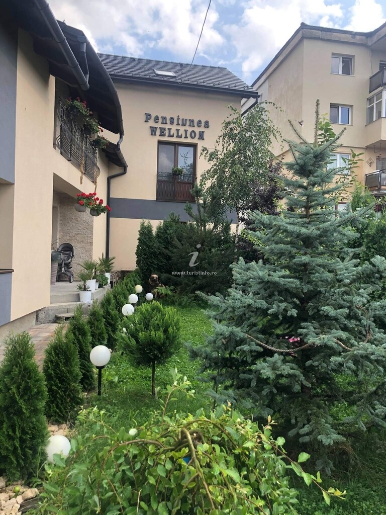 Camere de închiriat Wellion
