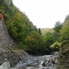 Lepșa