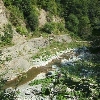 Lepșa