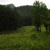 Lepșa