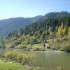 Broșteni