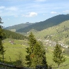 Broșteni