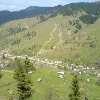 Broșteni