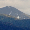 Broșteni