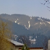 Broșteni