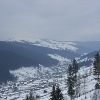 Broșteni