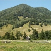 Lepșa