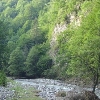Lepșa