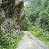 Lepșa