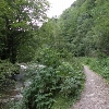 Lepșa