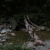 Lepșa