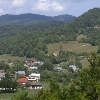Lepșa