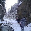 Lepșa