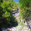 Lepșa