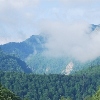 Lepșa
