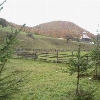 Lepșa