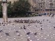 Timisoara: Poze Timisoara