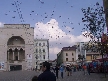 Timisoara: Poze Timisoara